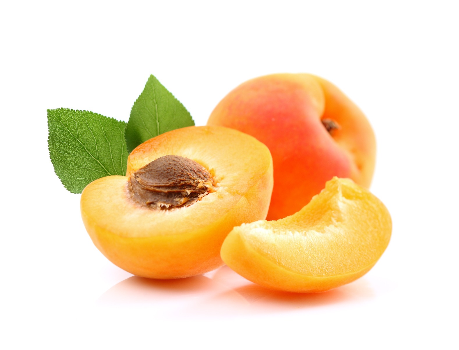 Aprikose - Alles über die Aprikose
